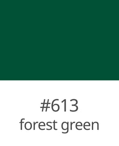 Oracal 651 - 613 FOREST GREEN